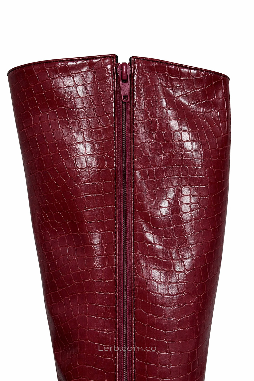 BOTAS THYNNE VINO TINTO - Imagen 3